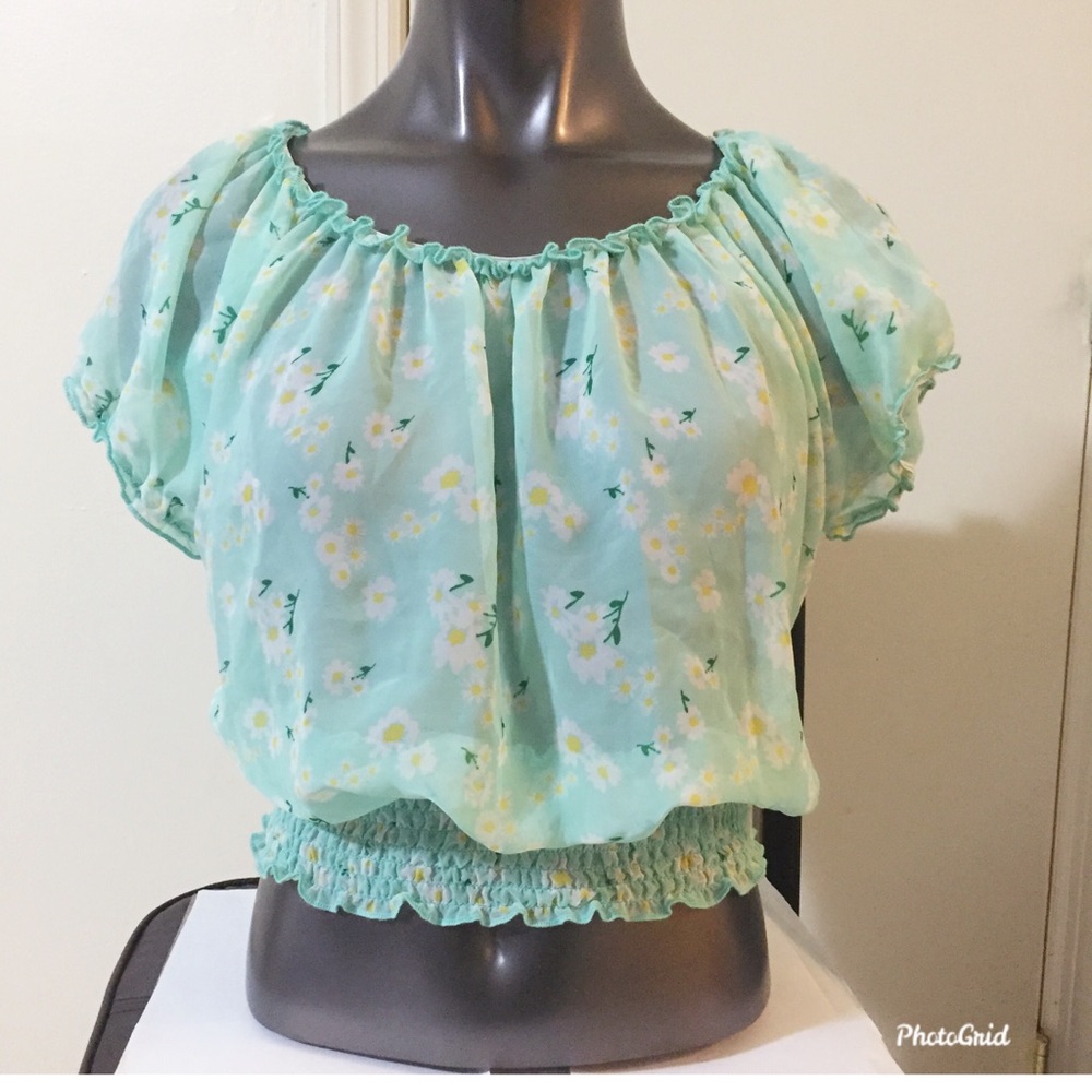 Bongo Chiffon Sheer Crop Top